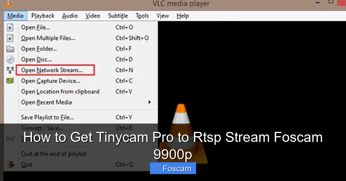 How to Get Tinycam Pro to Rtsp Stream Foscam 9900p