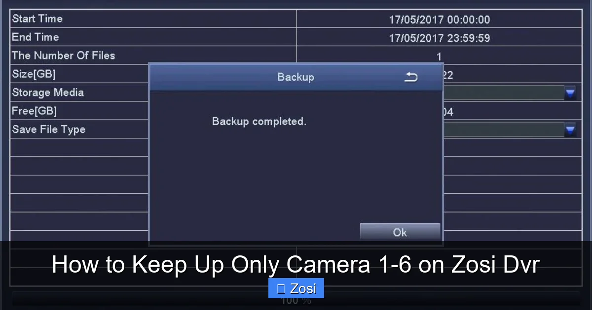 How to Keep Up Only Camera 1-6 on Zosi Dvr