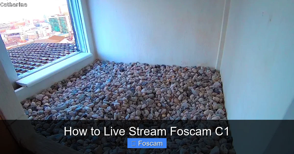 How to Live Stream Foscam C1