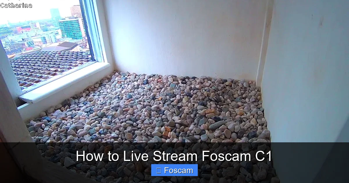How to Live Stream Foscam C1
