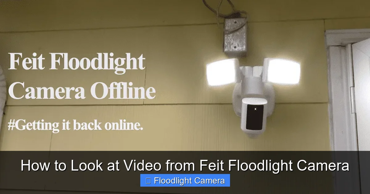 How to Look at Video from Feit Floodlight Camera