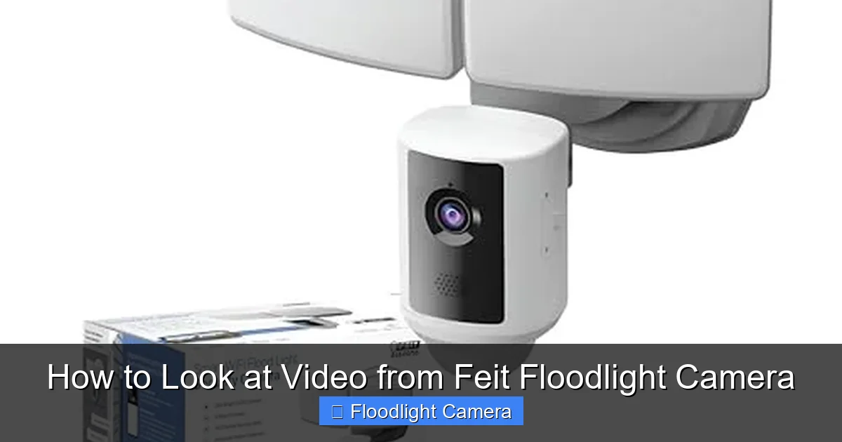 How to Look at Video from Feit Floodlight Camera