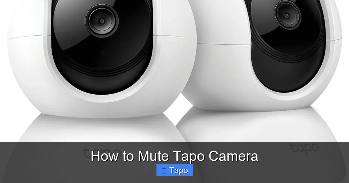 How to Mute Tapo Camera