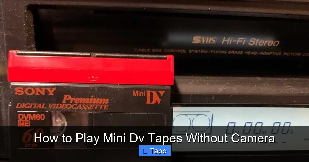How to Play Mini Dv Tapes Without Camera