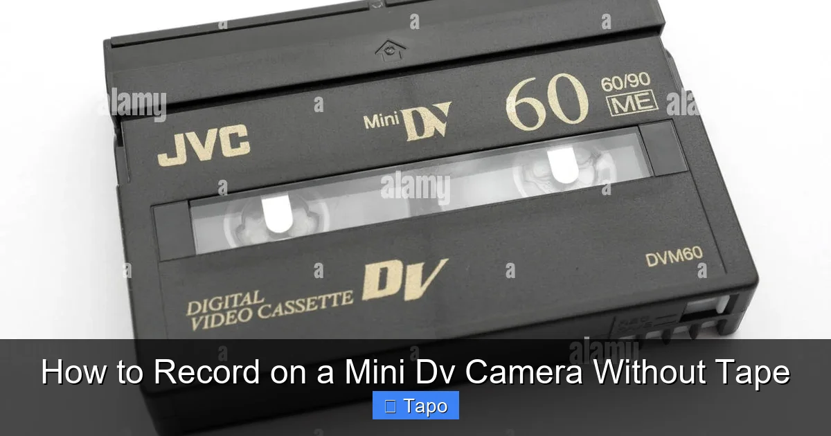 How to Record on a Mini Dv Camera Without Tape