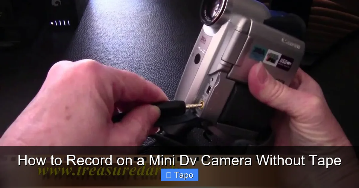 How to Record on a Mini Dv Camera Without Tape