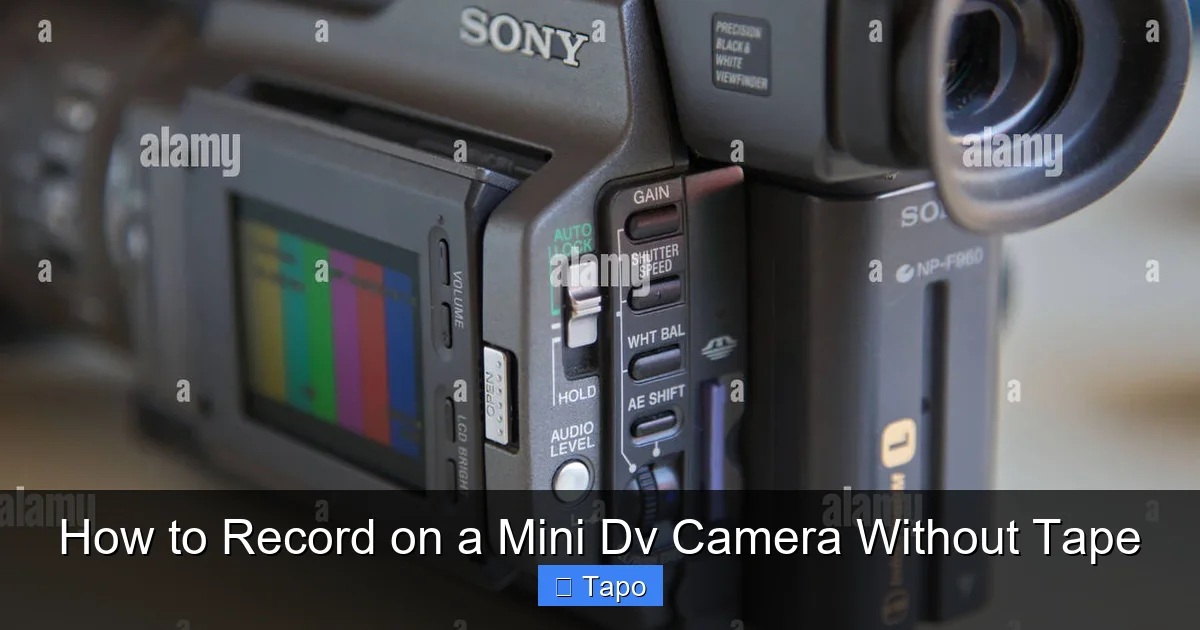 How to Record on a Mini Dv Camera Without Tape