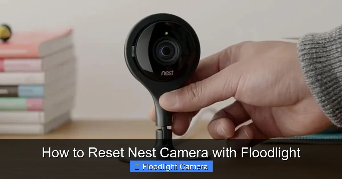 How to Reset Nest Camera with Floodlight