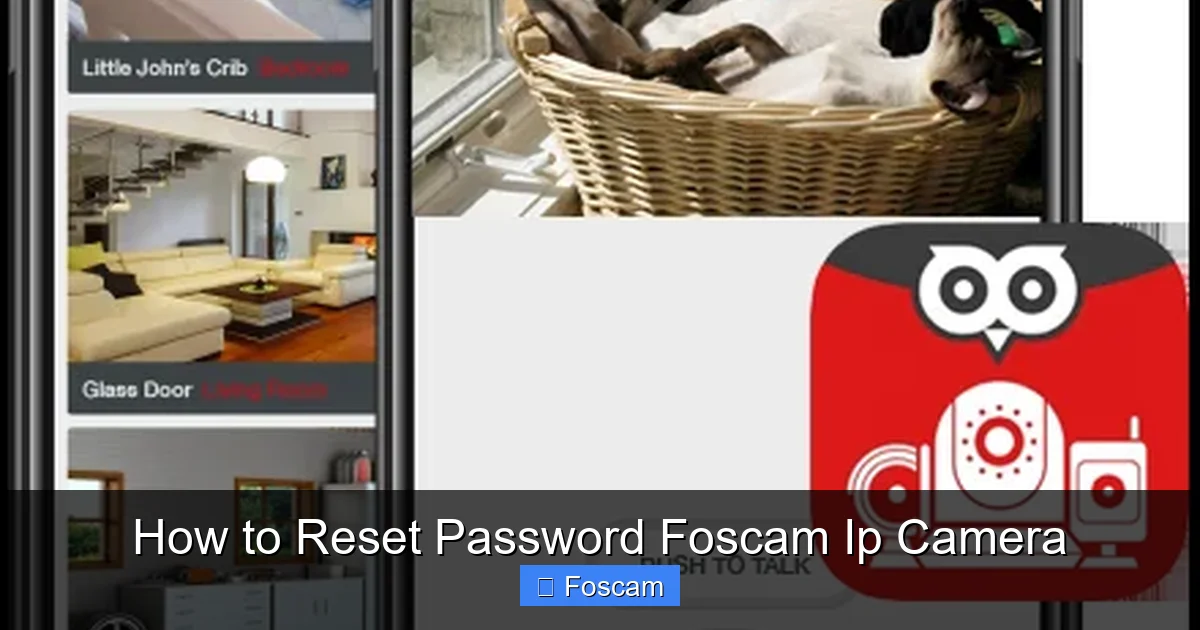 How to Reset Password Foscam Ip Camera