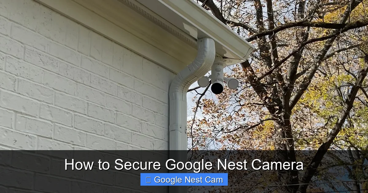 How to Secure Google Nest Camera