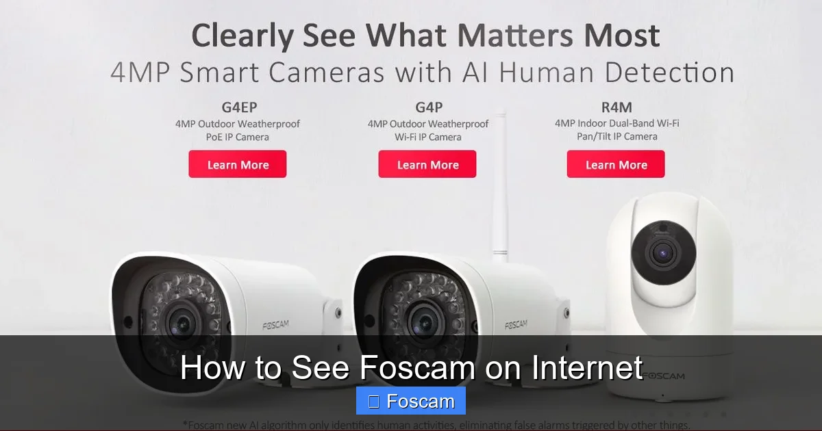 How to See Foscam on Internet