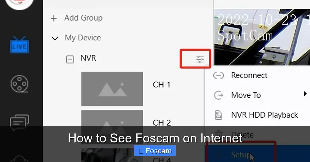 How to See Foscam on Internet
