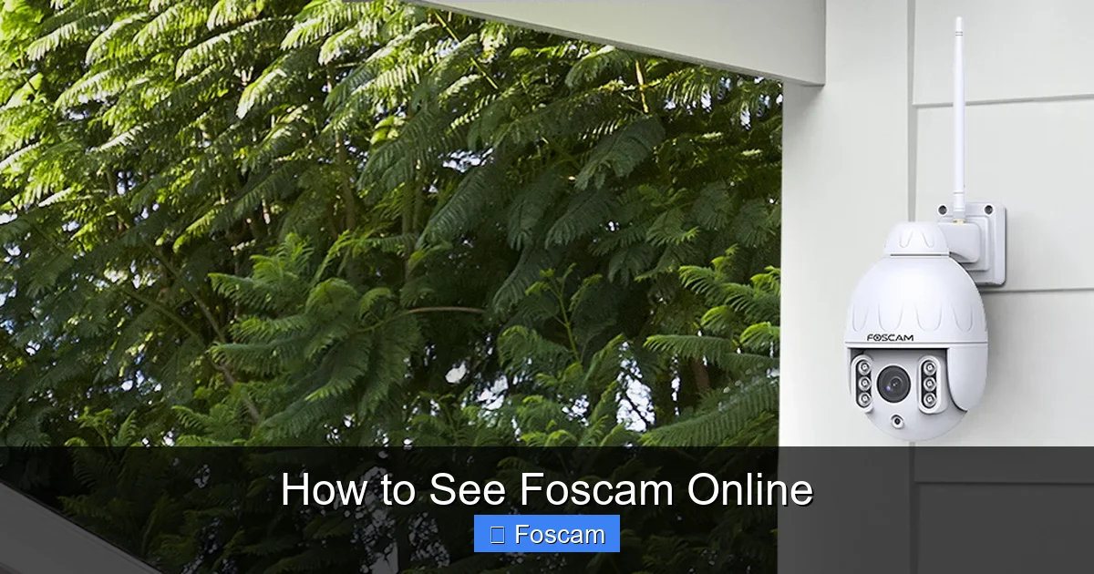 How to See Foscam Online