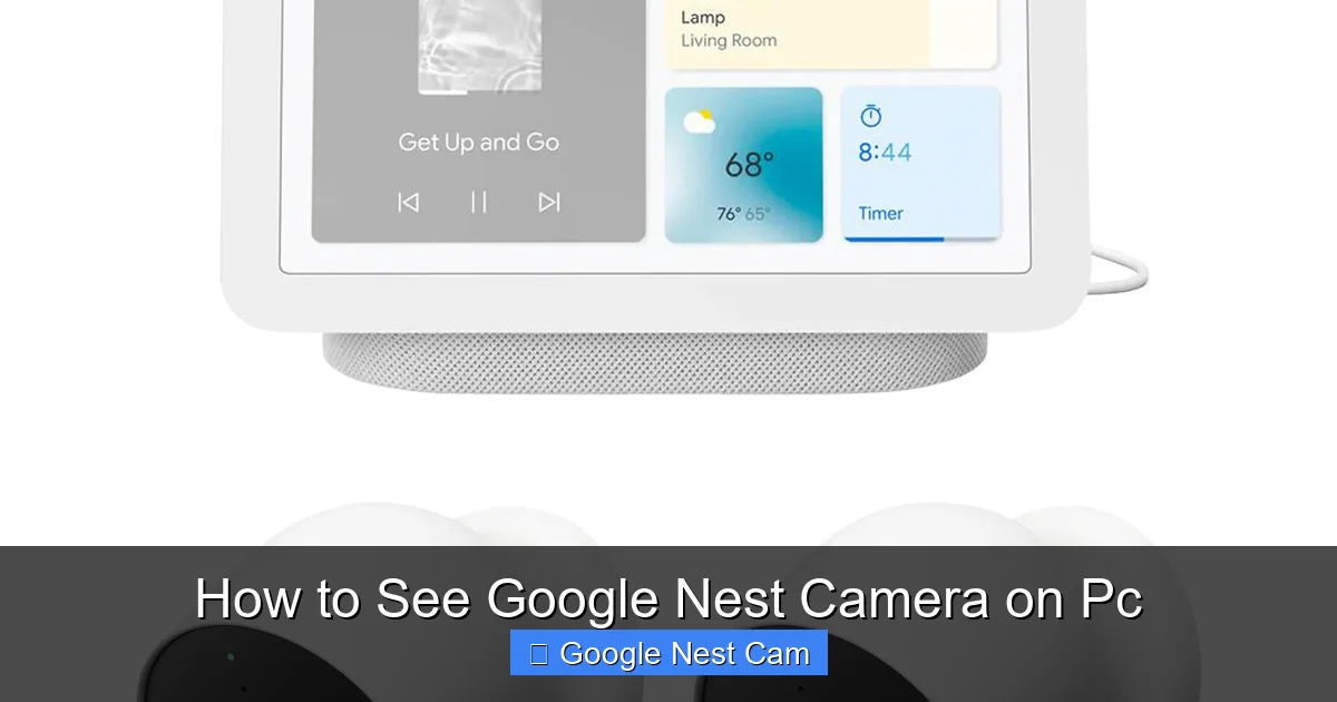 How to See Google Nest Camera on Pc