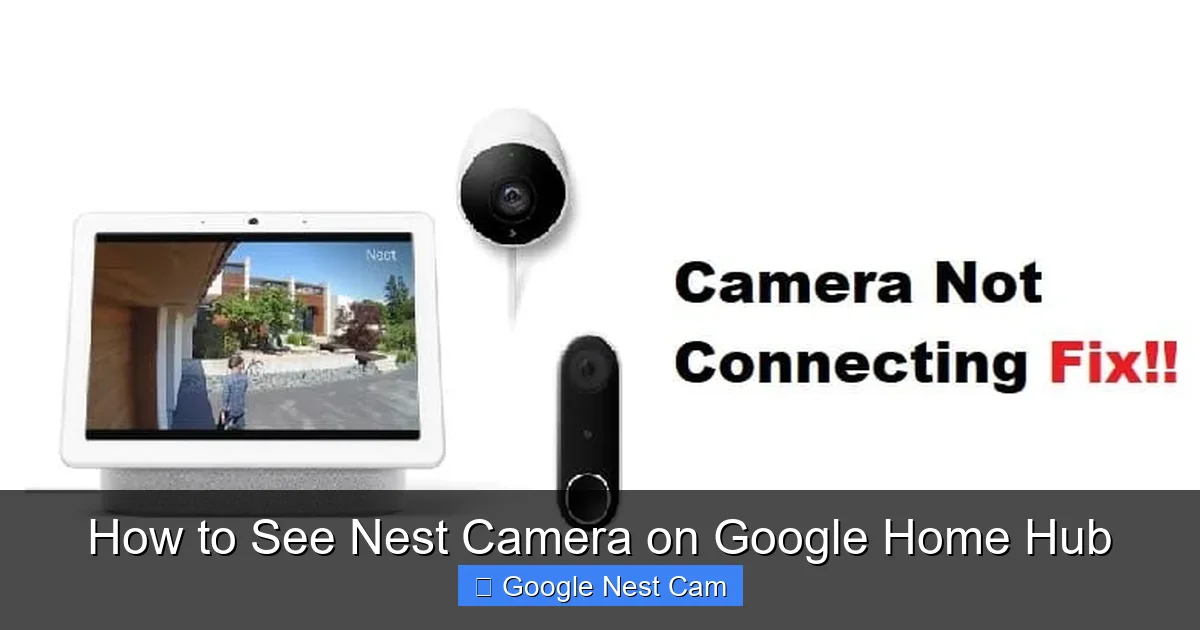 How to See Nest Camera on Google Home Hub