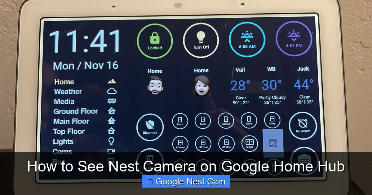 How to See Nest Camera on Google Home Hub
