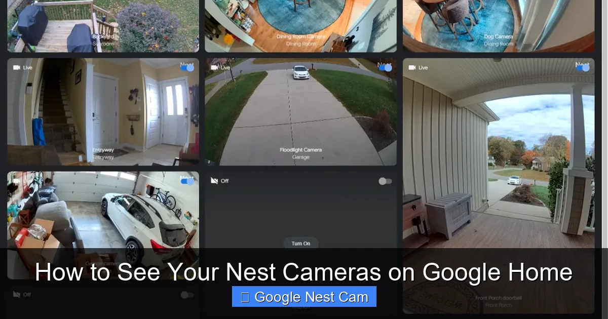 How to See Your Nest Cameras on Google Home