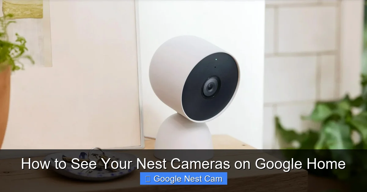 How to See Your Nest Cameras on Google Home