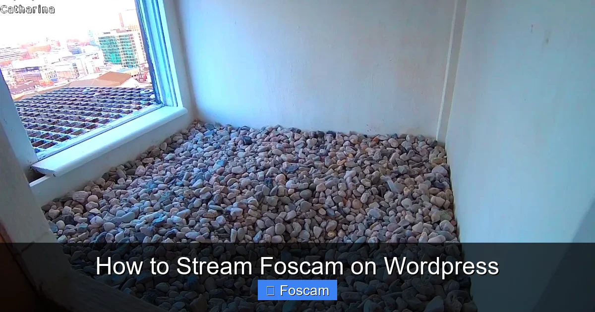 How to Stream Foscam on Wordpress