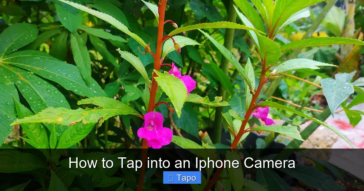 How to Tap into an Iphone Camera