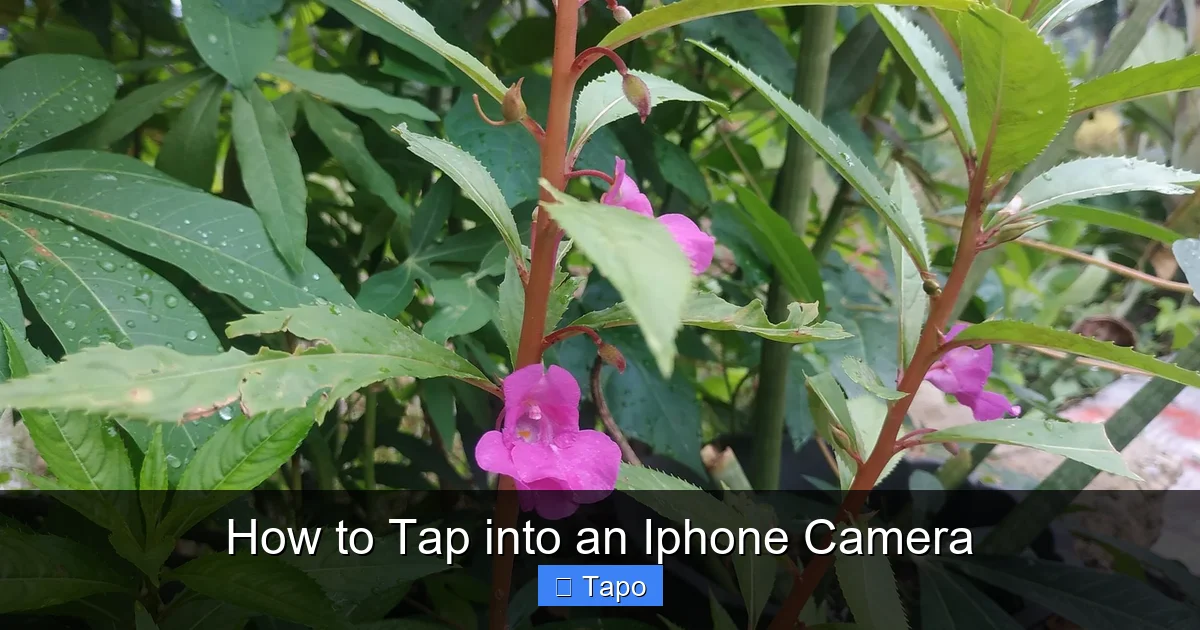 How to Tap into an Iphone Camera