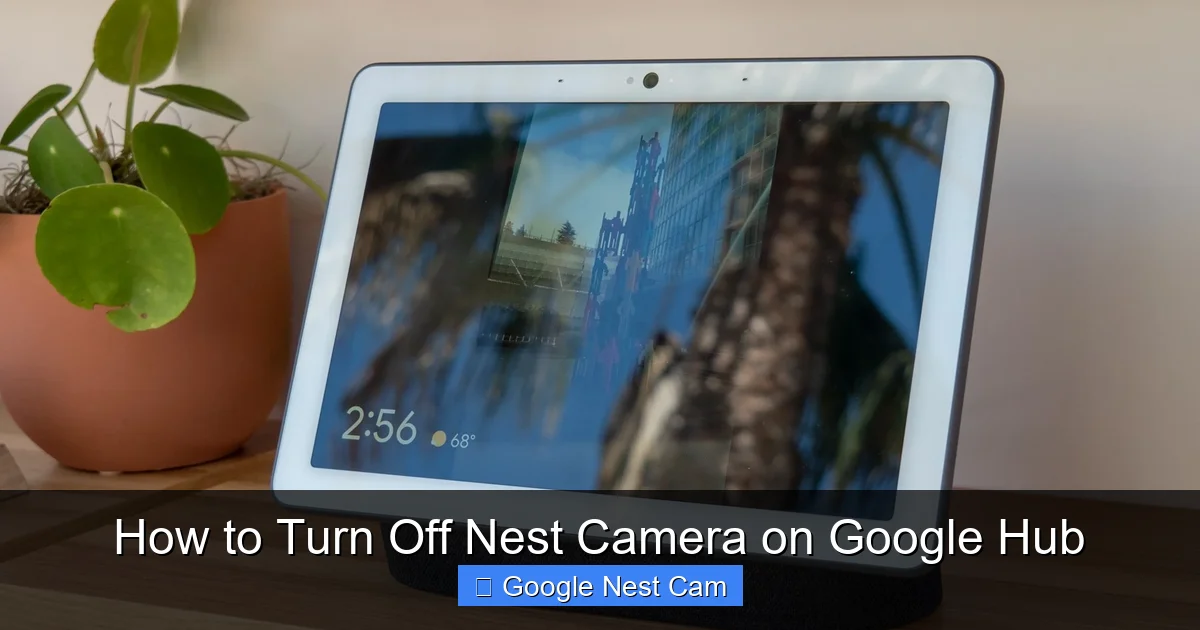 How to Turn Off Nest Camera on Google Hub