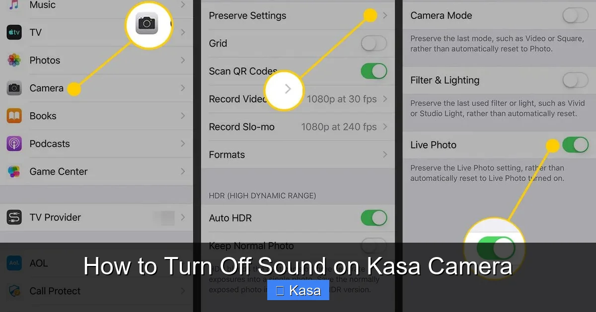 How to Turn Off Sound on Kasa Camera