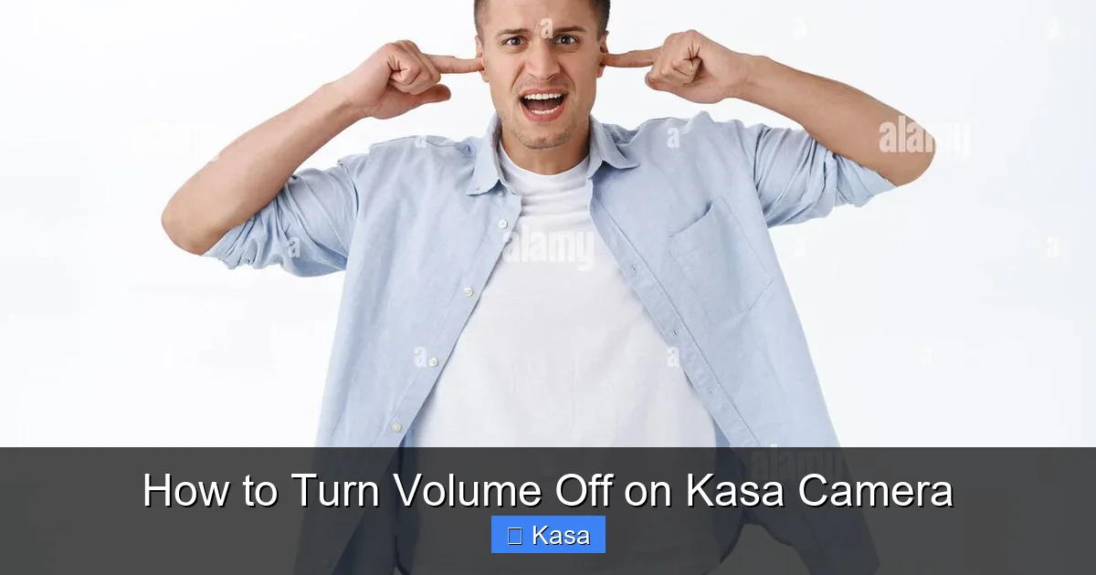 How to Turn Volume Off on Kasa Camera