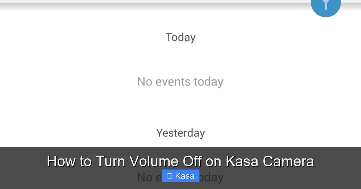 How to Turn Volume Off on Kasa Camera
