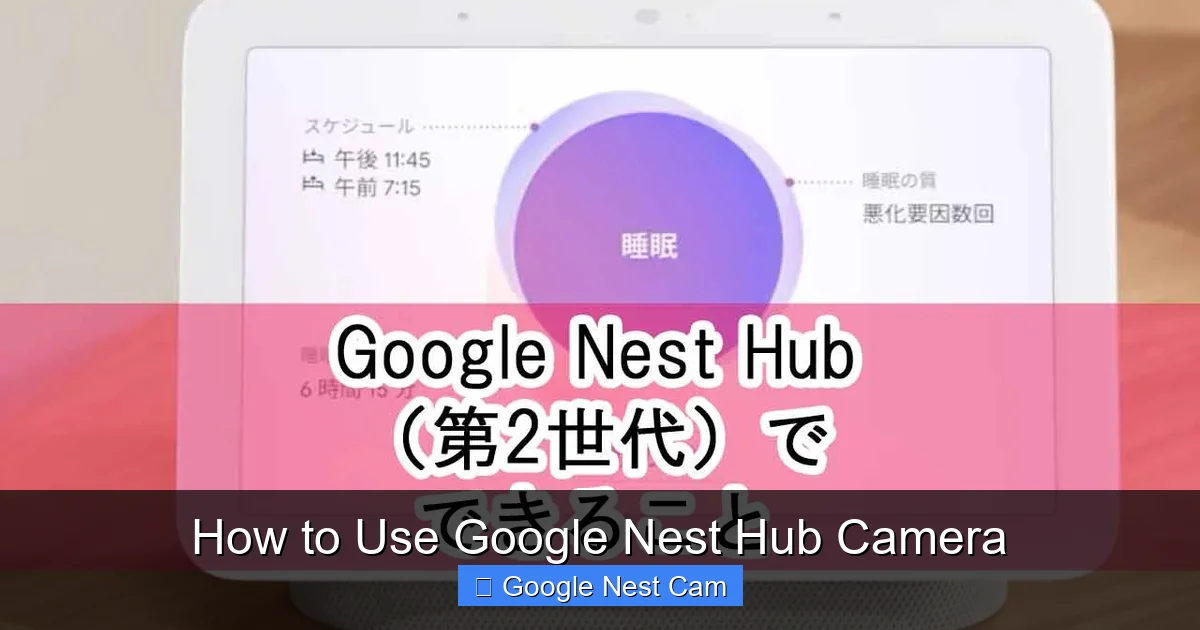 How to Use Google Nest Hub Camera