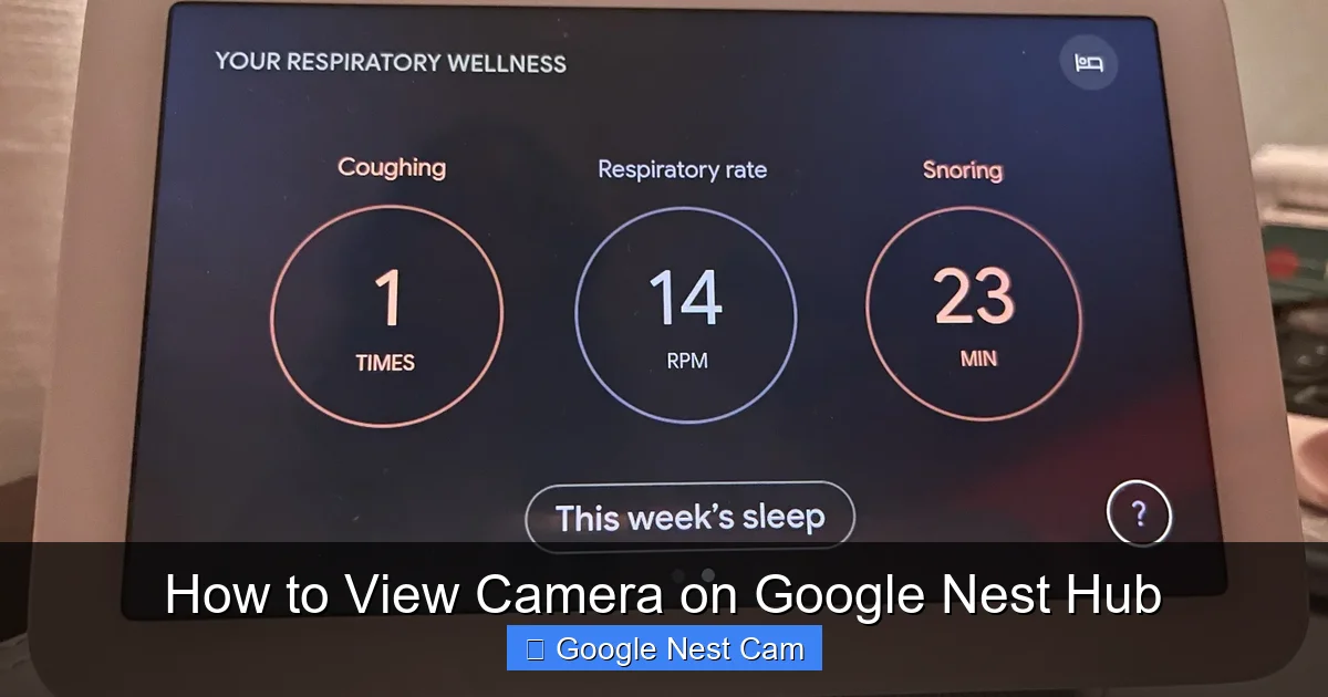How to View Camera on Google Nest Hub