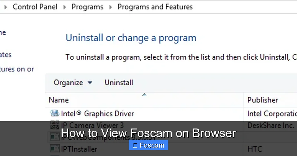 How to View Foscam on Browser