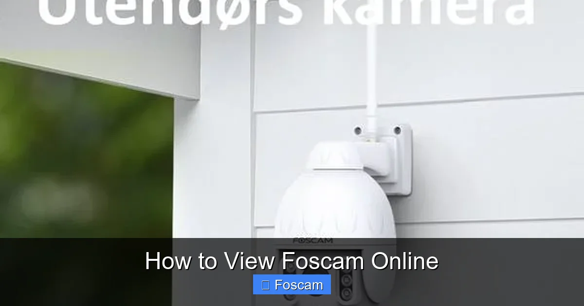 How to View Foscam Online