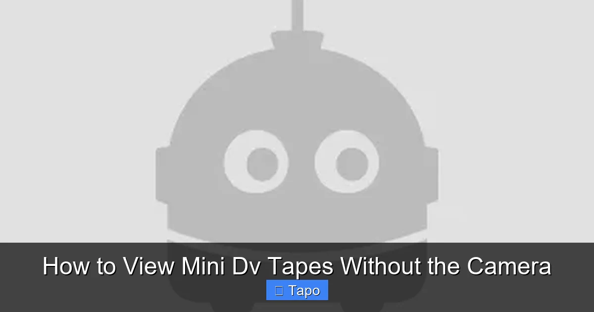 How to View Mini Dv Tapes Without the Camera