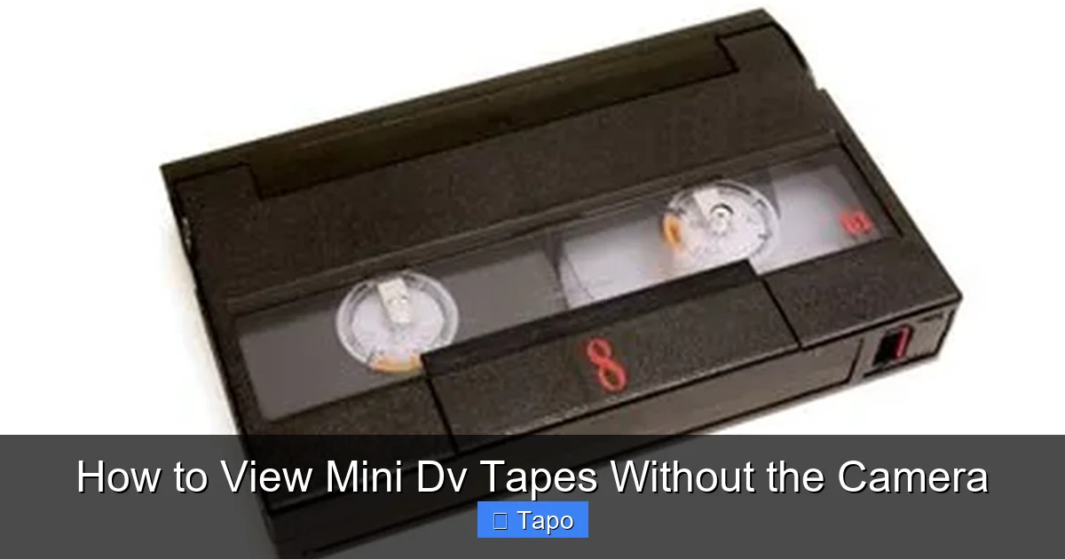 How to View Mini Dv Tapes Without the Camera