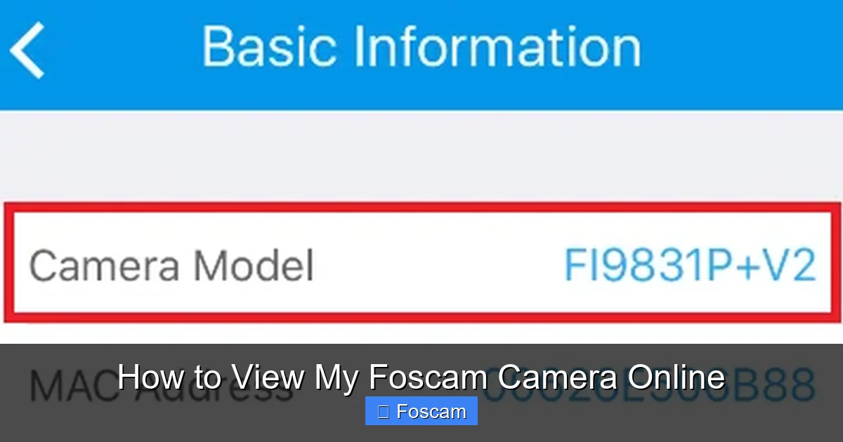 How to View My Foscam Camera Online