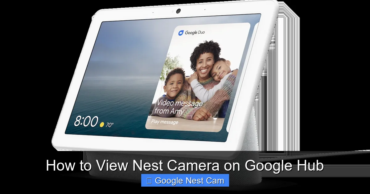 How to View Nest Camera on Google Hub