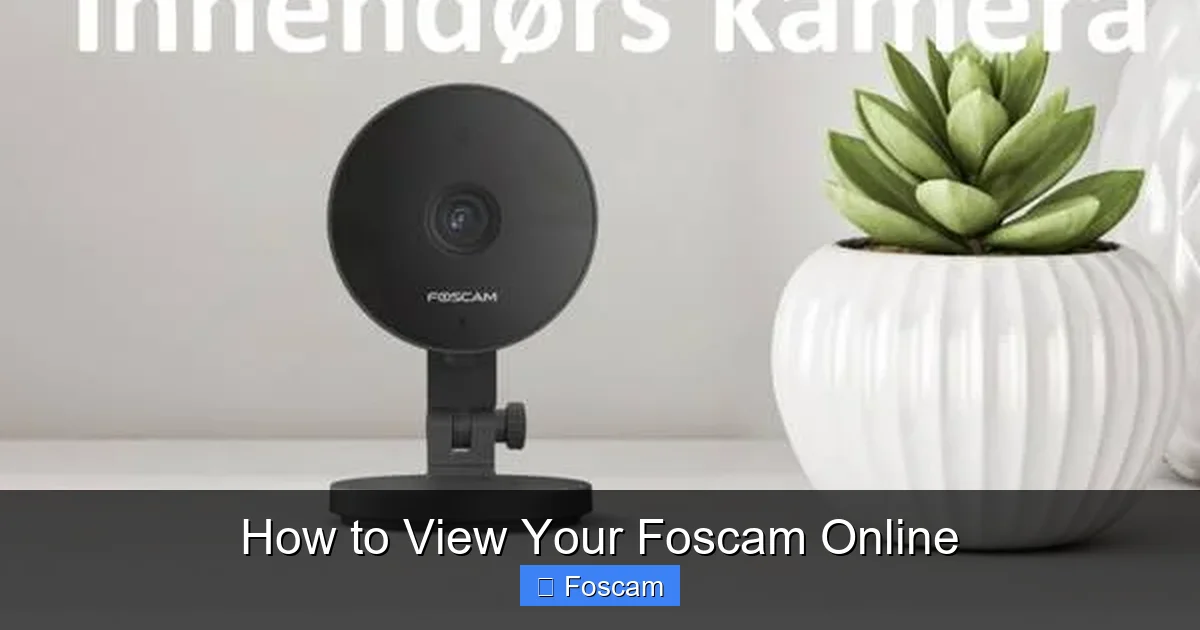 How to View Your Foscam Online
