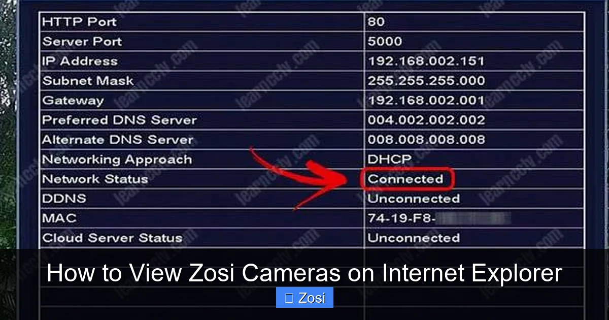 How to View Zosi Cameras on Internet Explorer