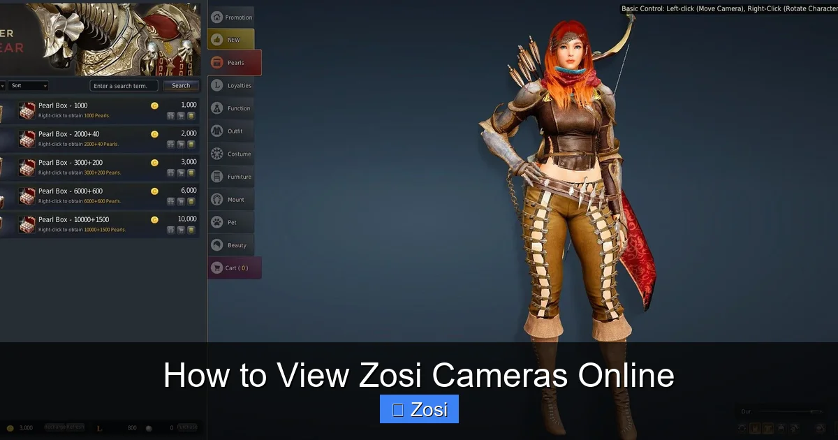 How to View Zosi Cameras Online