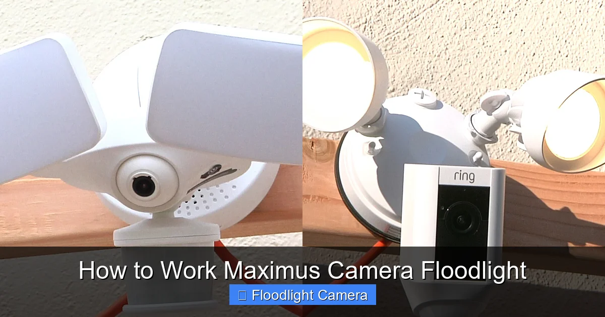 How to Work Maximus Camera Floodlight