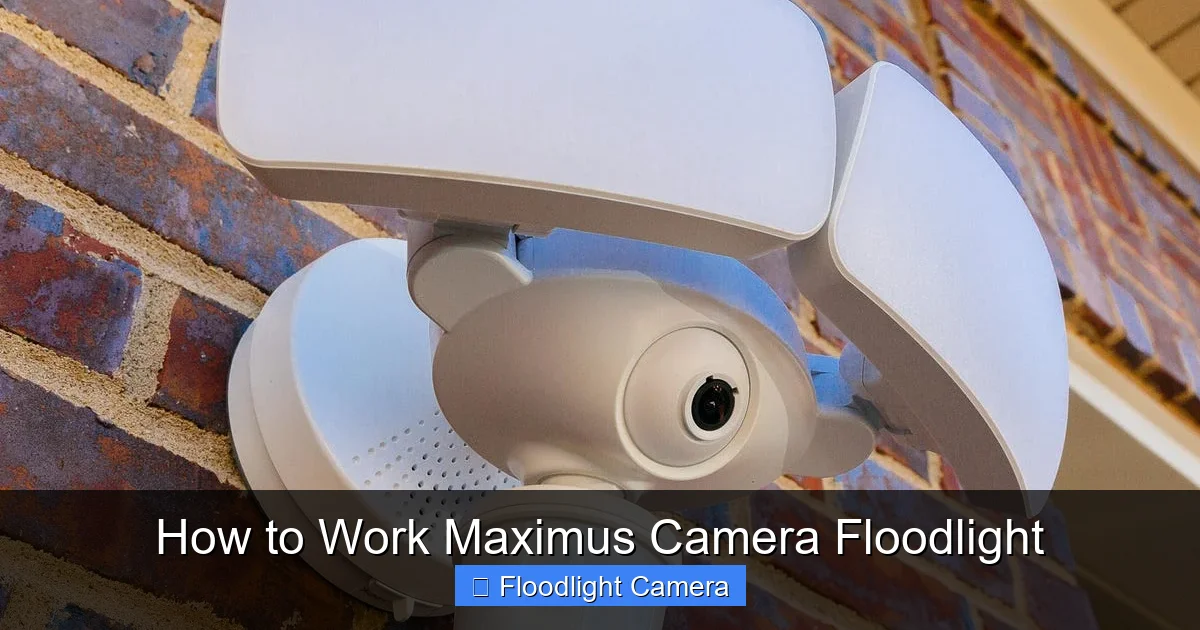 How to Work Maximus Camera Floodlight
