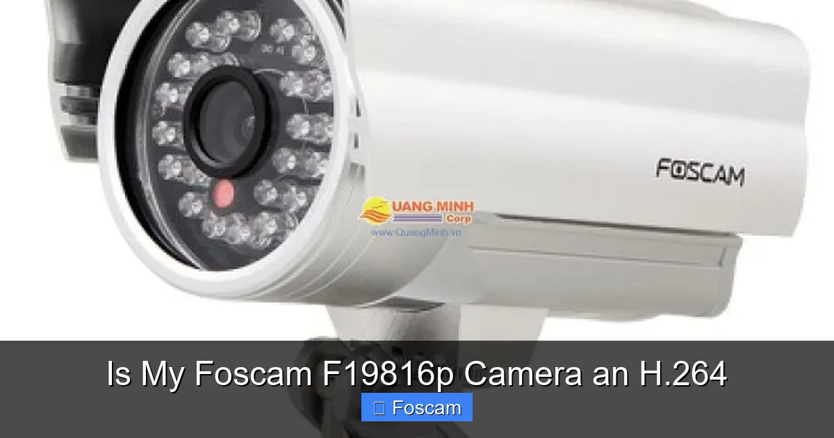 Is My Foscam F19816p Camera an H.264