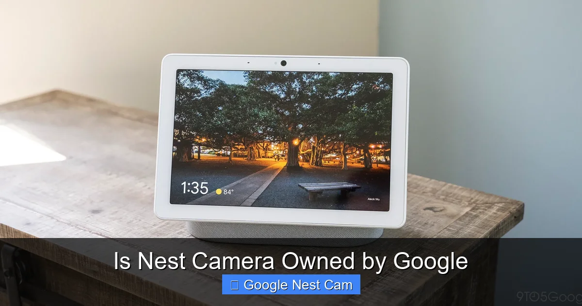 Is Nest Camera Owned by Google