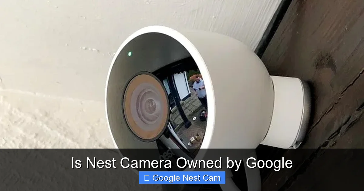 Is Nest Camera Owned by Google