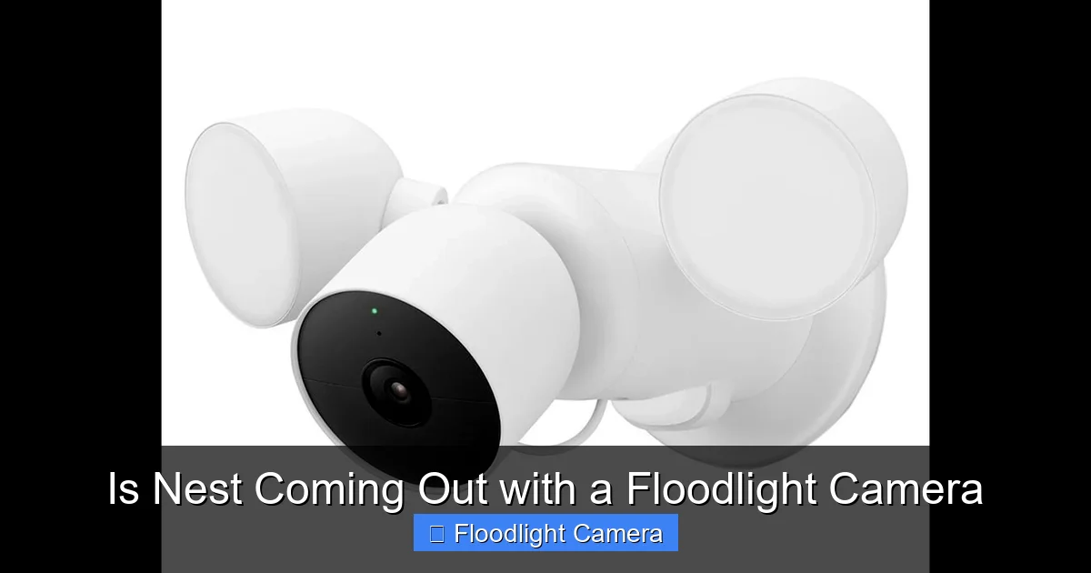 Is Nest Coming Out with a Floodlight Camera