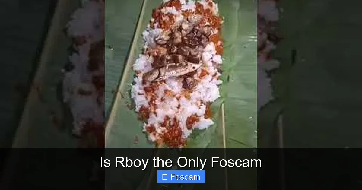 Is Rboy the Only Foscam