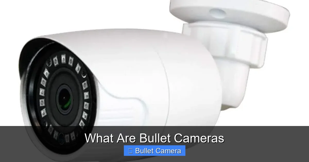 What Are Bullet Cameras