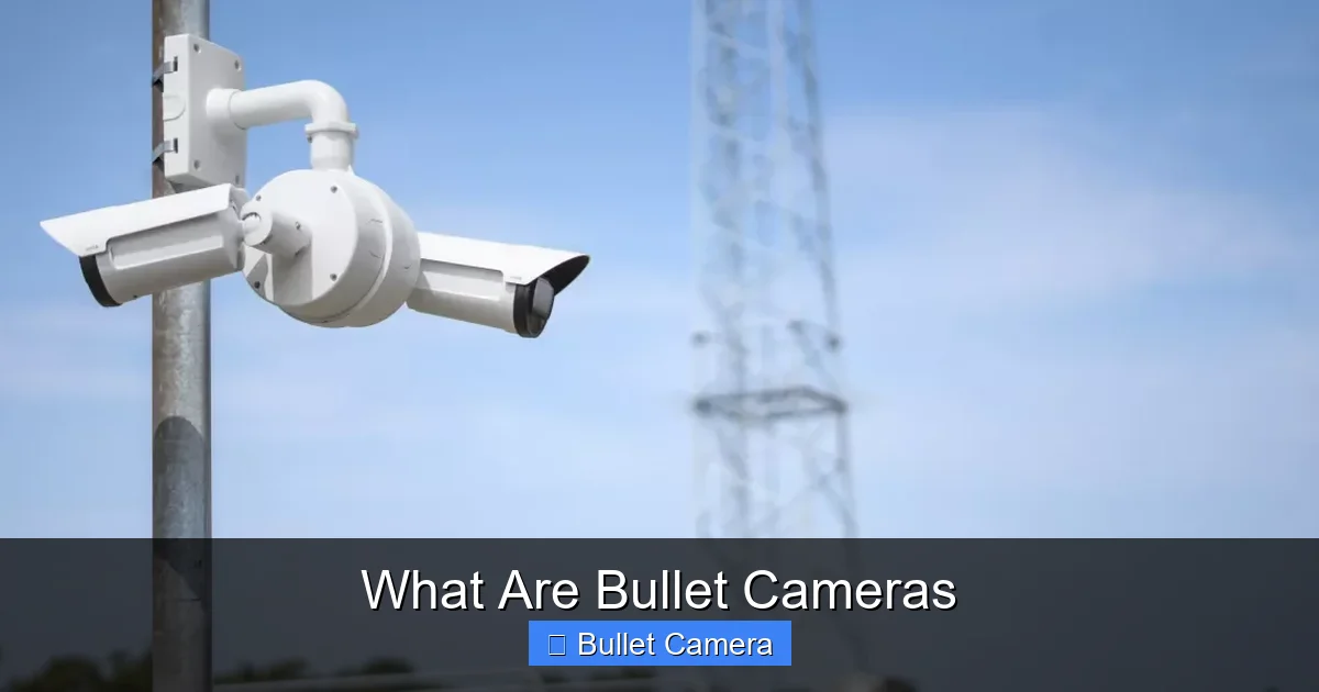 What Are Bullet Cameras
