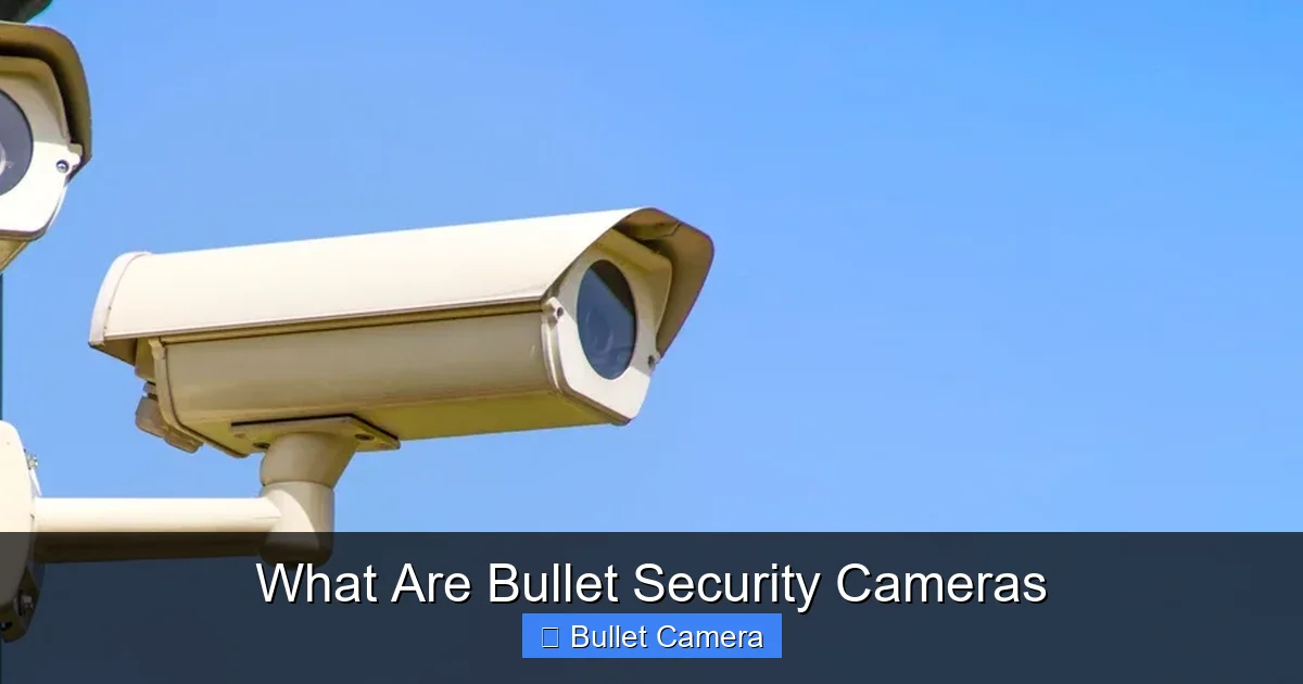 What Are Bullet Security Cameras